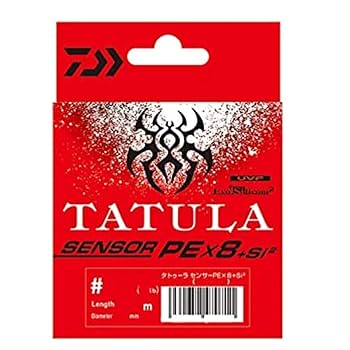 CCRさん専用ダイワタトゥーラTW8.1Rユーズド CCRさん専用ダイワタトゥーラTW8.1Rユーズド CCRさん専用ダイワ